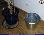 ssl_cl_2_0003