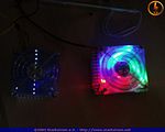 ssl_cl_2_0045