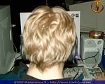 ssl_njl_00110