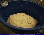 ssl_phase_5_00155