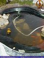 ssl_phase_5_00207