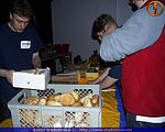 ssl_phase_5_0029